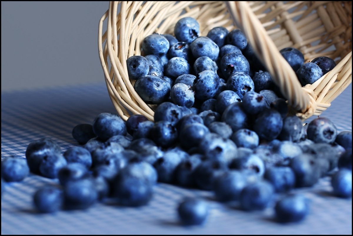 Top Most Super Foods For Your Smooth And Strong Hair