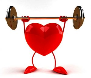 Gym Workout Routines