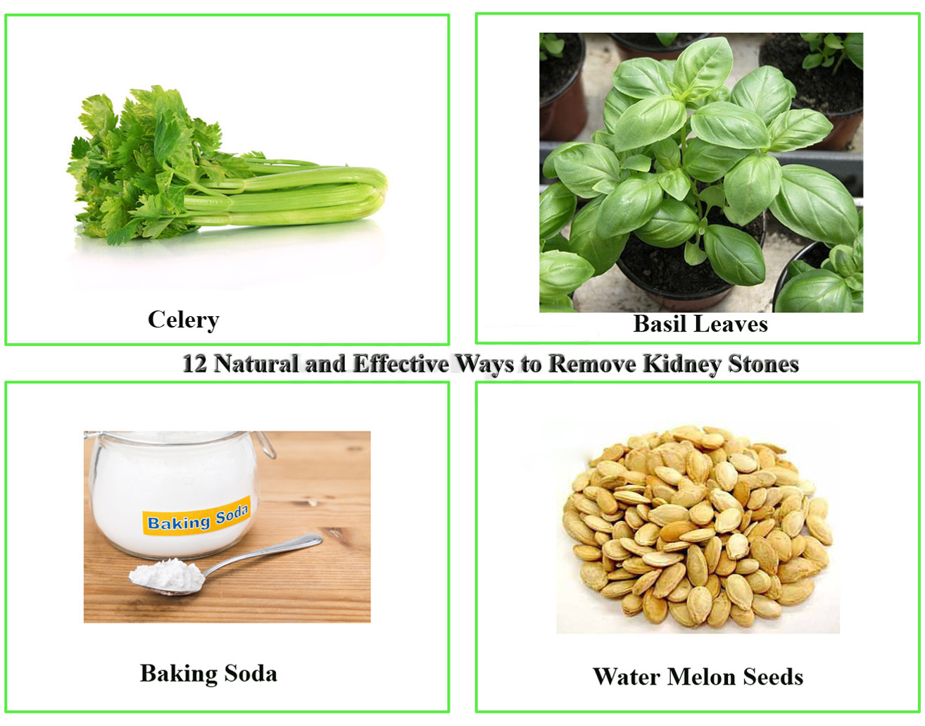 kidney stone removal naturally