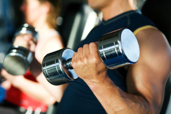 Gym Workout Routines