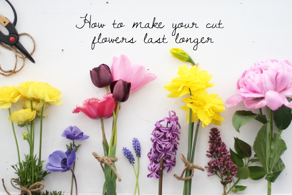 different types of flowers