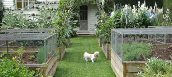 gardening tools name with pictures