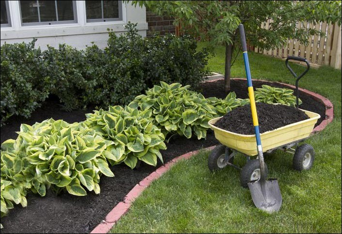 gardening tools name with pictures