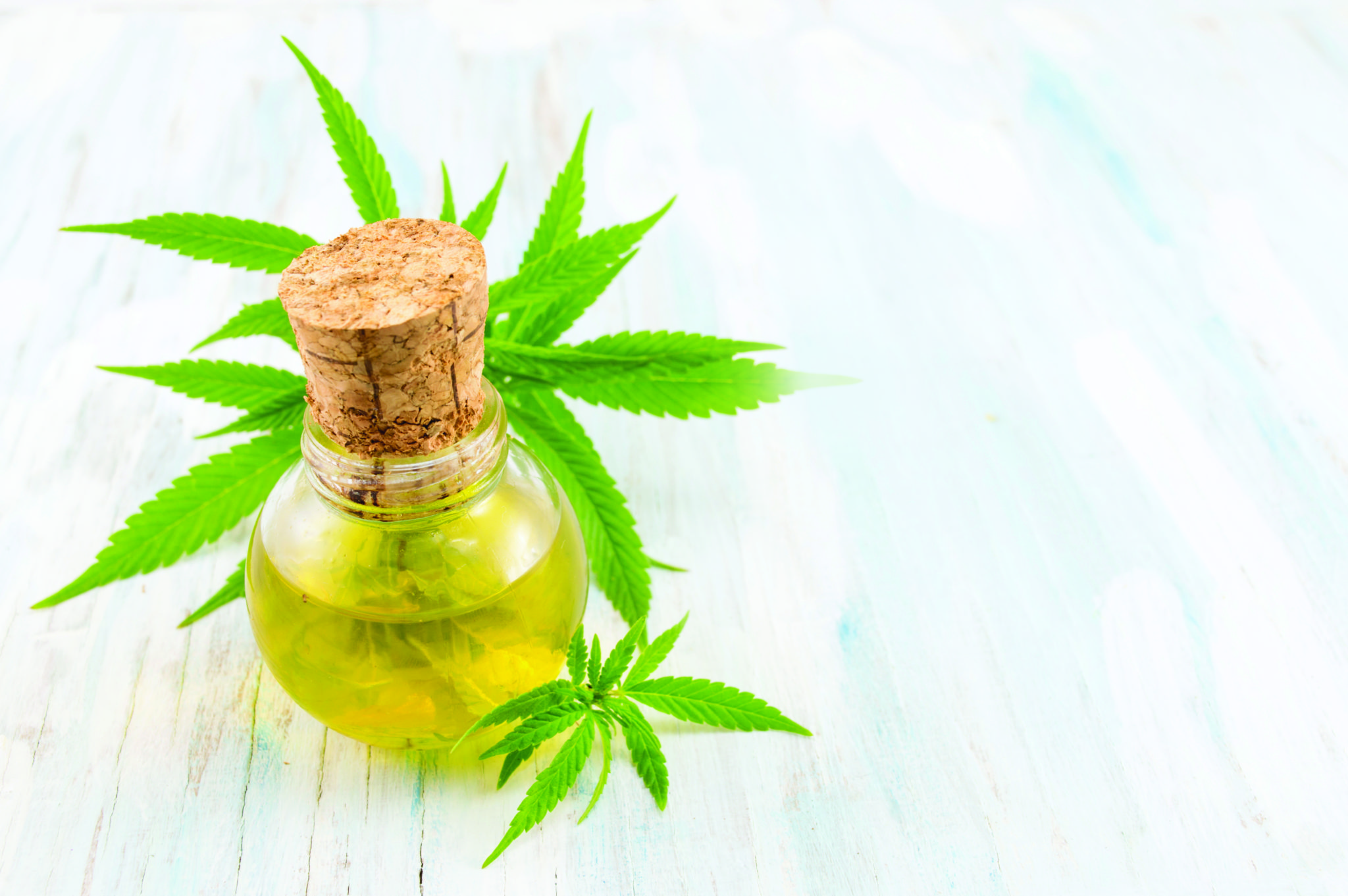 CBD Helpful for the harmful Kidney Diseases
